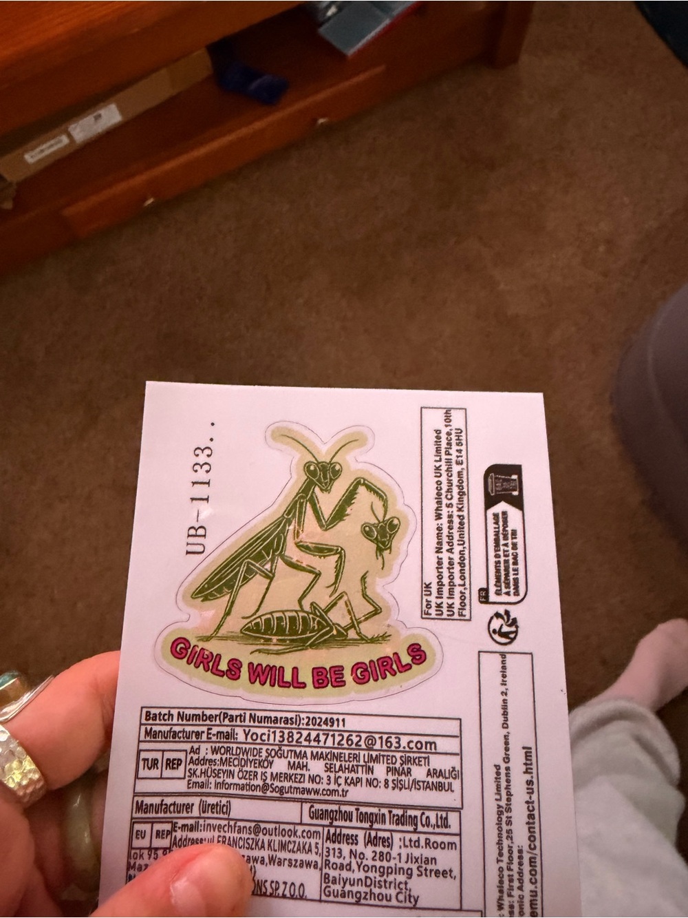 Girls Will Be Girls Praying Mantis Reptile Sticker - Green